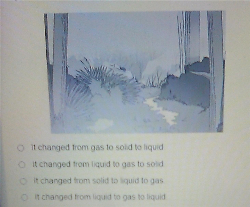 Kelly walked through this part of the forest. What phase changes happened as the water-example-1