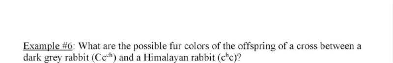 Example #6: What are the possible fur colors of the offspring of a cross between a-example-1