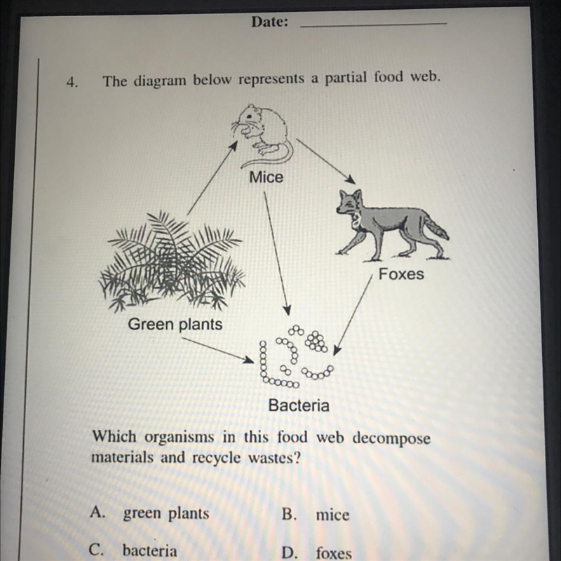 The diagram below represents a partial food web. Which organisms in this food web-example-1