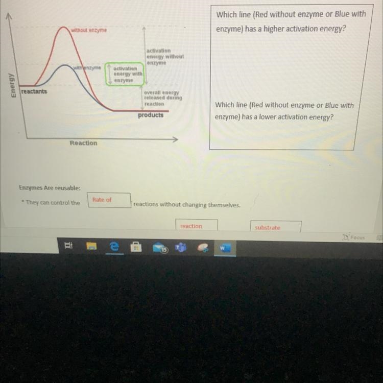 Which line (Red without enzyme or Blue with enzyme) has a higher activation energy-example-1