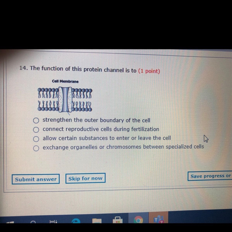 Helppp w this question-example-1