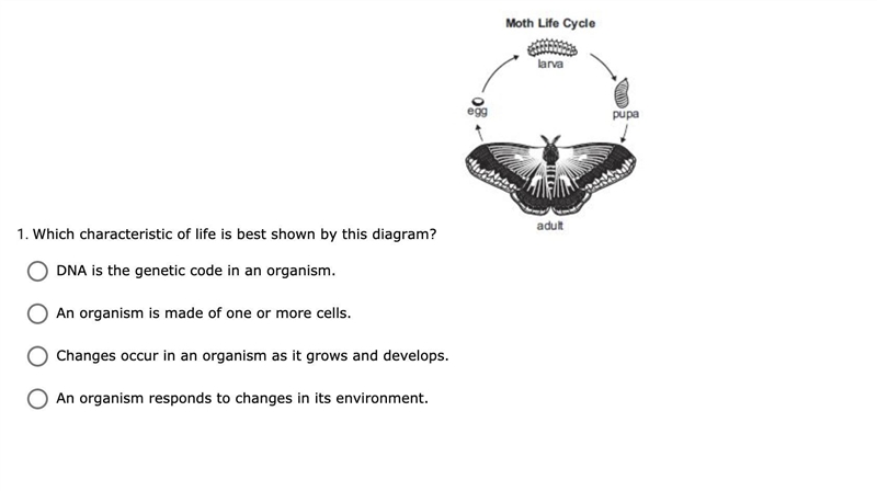 Please Help!!! I need this for bio!!-example-1