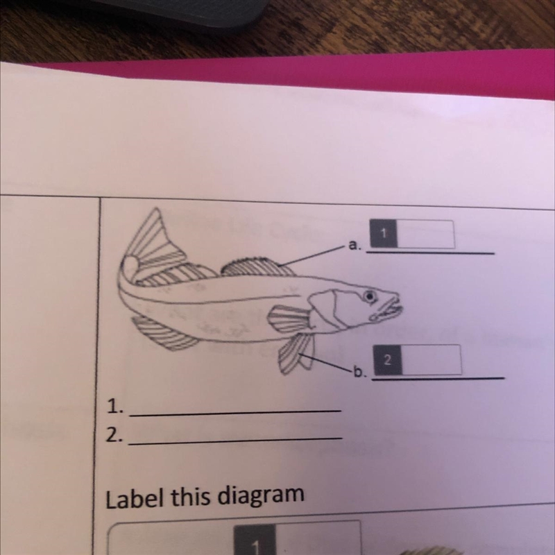 Label this diagram ASAP pls!-example-1