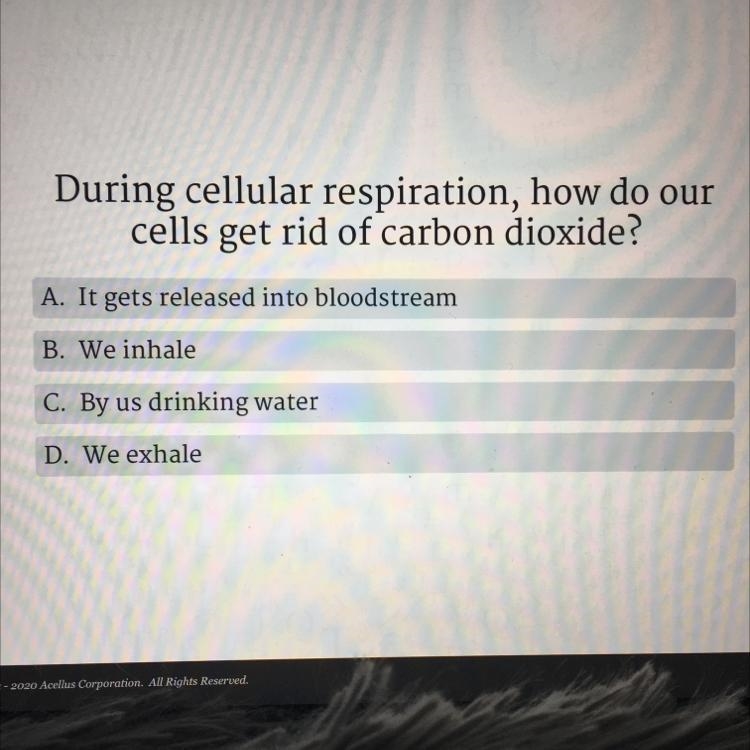 PLEASE HELP! Easy 10 points-example-1