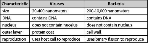 The table below compares viruses and bacteria. Antibiotics are used to treat bacterial-example-1