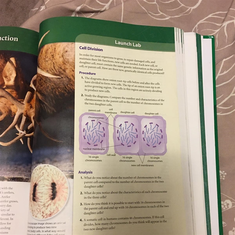 Can someone please help me... I really appreciate if you can help me with the analysis-example-1