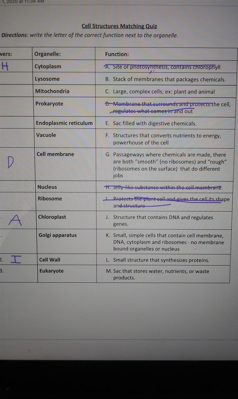 Cell structure matching ( help don't know)​-example-1