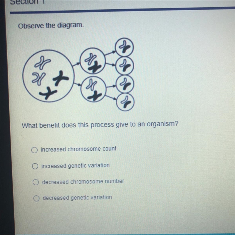 What benefit does this process give to an organism?-example-1