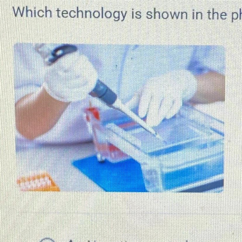 Which technology is shown in the photograph? A. Negative controls B. Gel electrophoresis-example-1