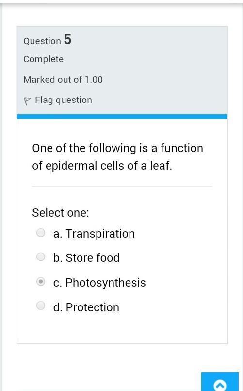 Help me with this question. plzzzzz​-example-1