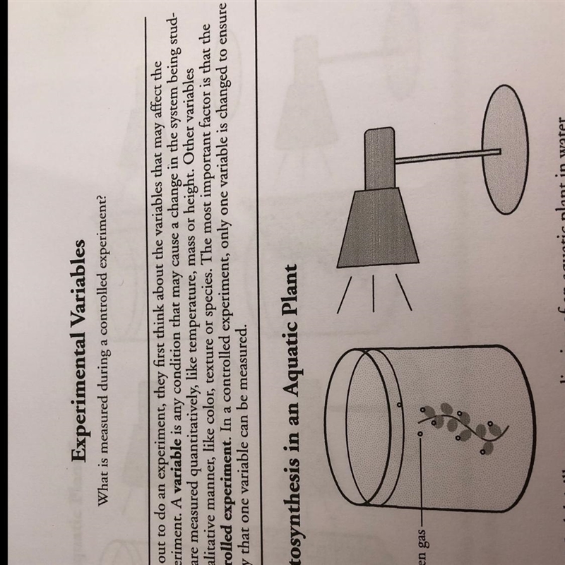 PLEASE HELPPP‼️‼️ 2. Depending on the environment the plant is in, more or less gas-example-1