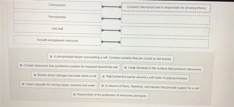 Help with this please-example-1