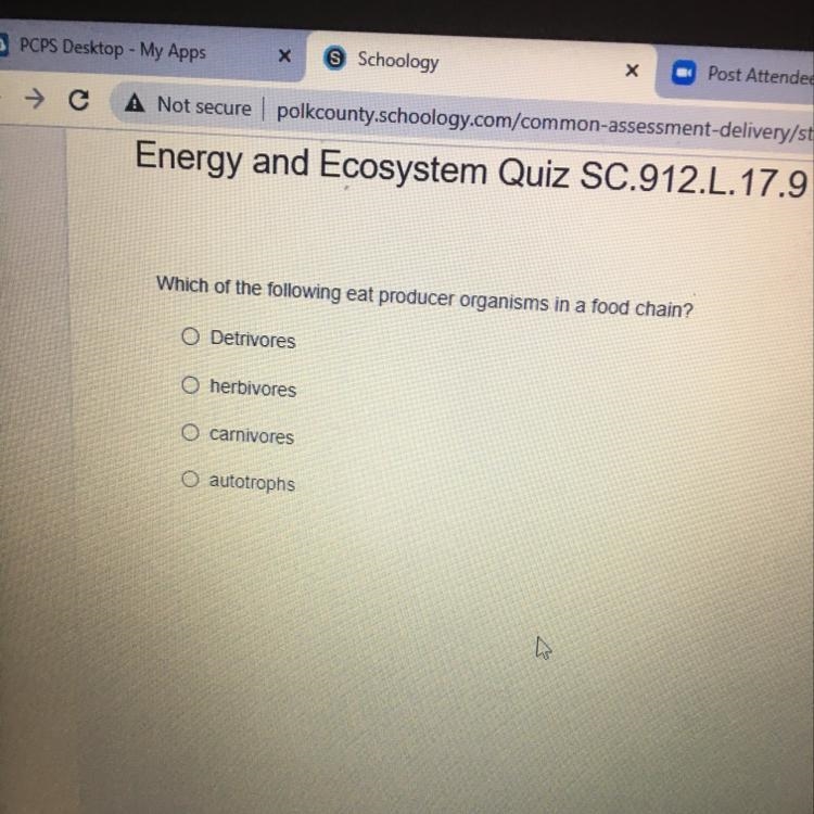 Which of the following eat producer organisms in a food chain?-example-1