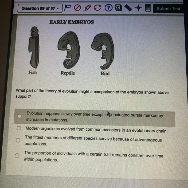 What part of the theory of evolution might a comparison of the embryos shown above-example-1