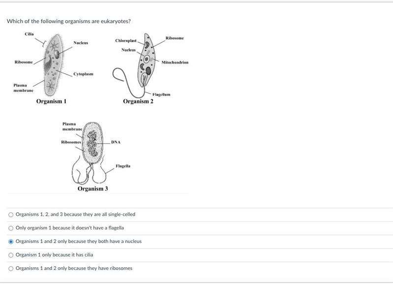 Please help! (in picture)-example-1