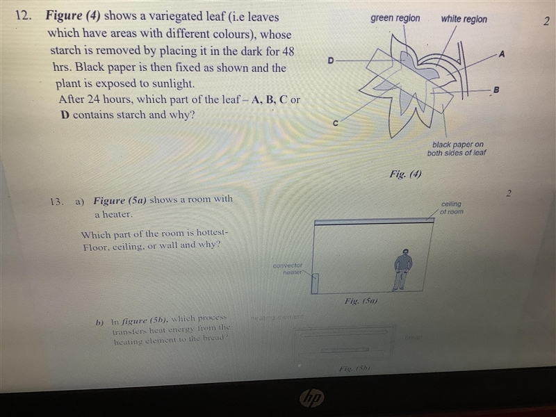 Hii answer to question 12 please?-example-1