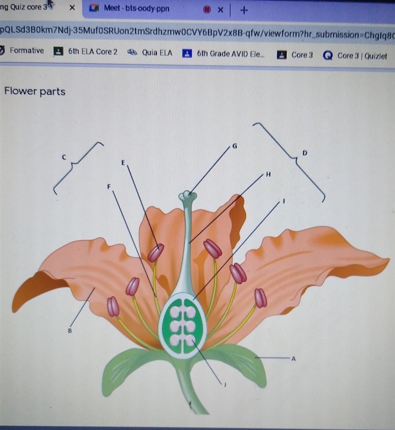 What are parts of a flower?​-example-1