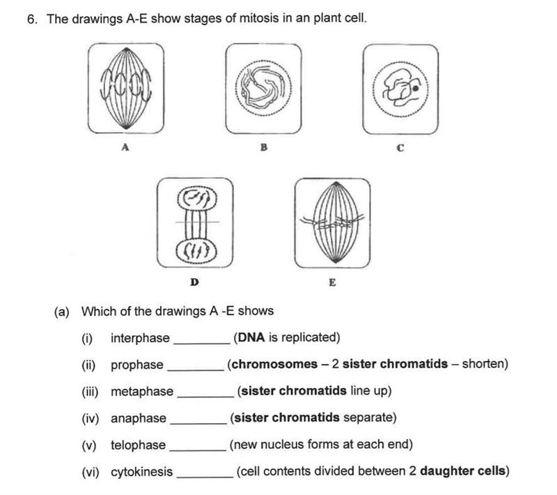 I need some help with this biology stuff :) it's due in like 5 hours so please can-example-1