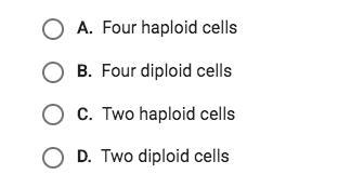 What is the product of meiosis ii-example-1