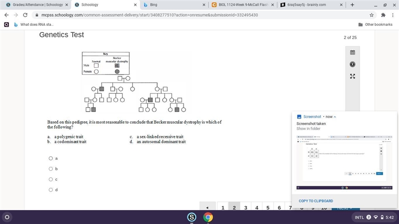 Based on this pedigree, it is most reasonable to conclude that Becker muscular dystrophy-example-1