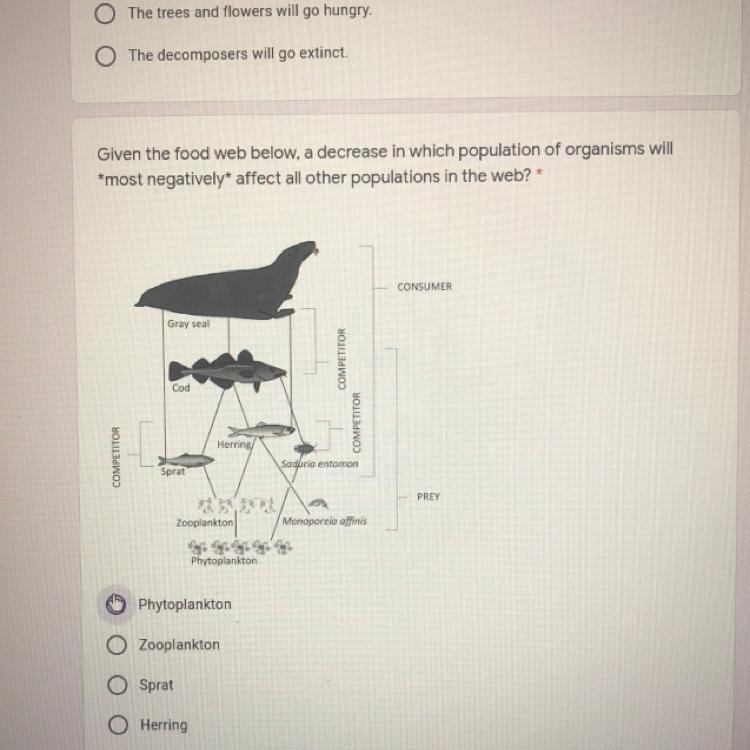 Which one is the answer?-example-1