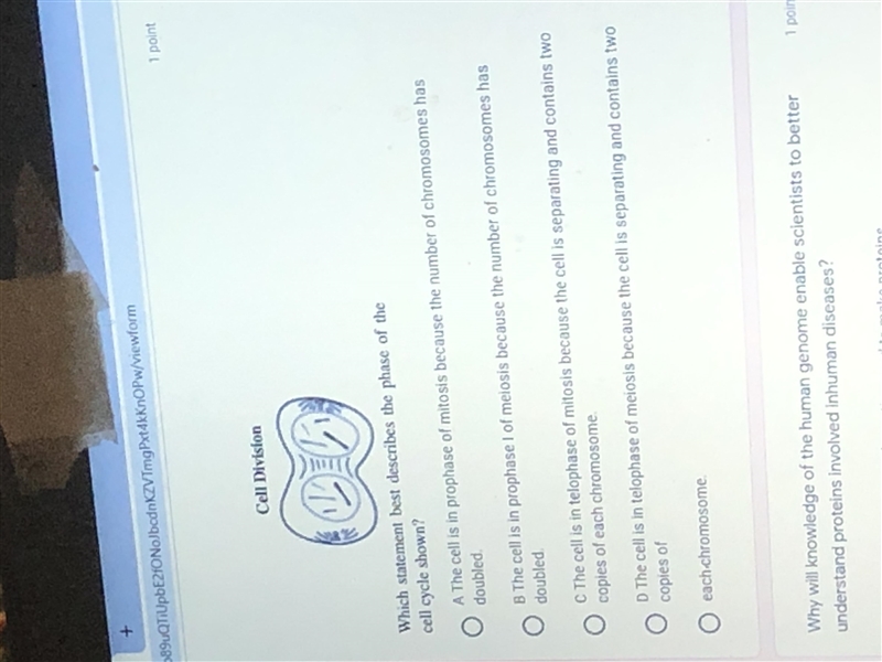 Which statement best describes the phase of the cell cycle shown-example-1