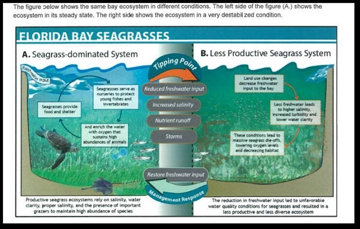 Read and analyze the Ecosystem Response section and list the negative feedback mechanisms-example-1