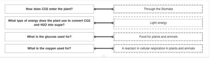 Helpppp is this correct?-example-1