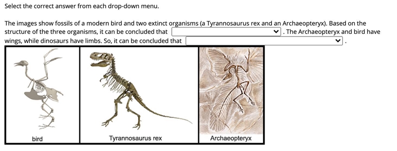 Fill in the blank Blank 1 -they share a common ancestor -they do not share a common-example-1