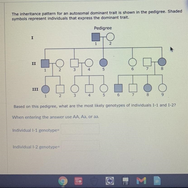 Based on this pedigree, what are the most likely genotypes of individuals I-1 and-example-1