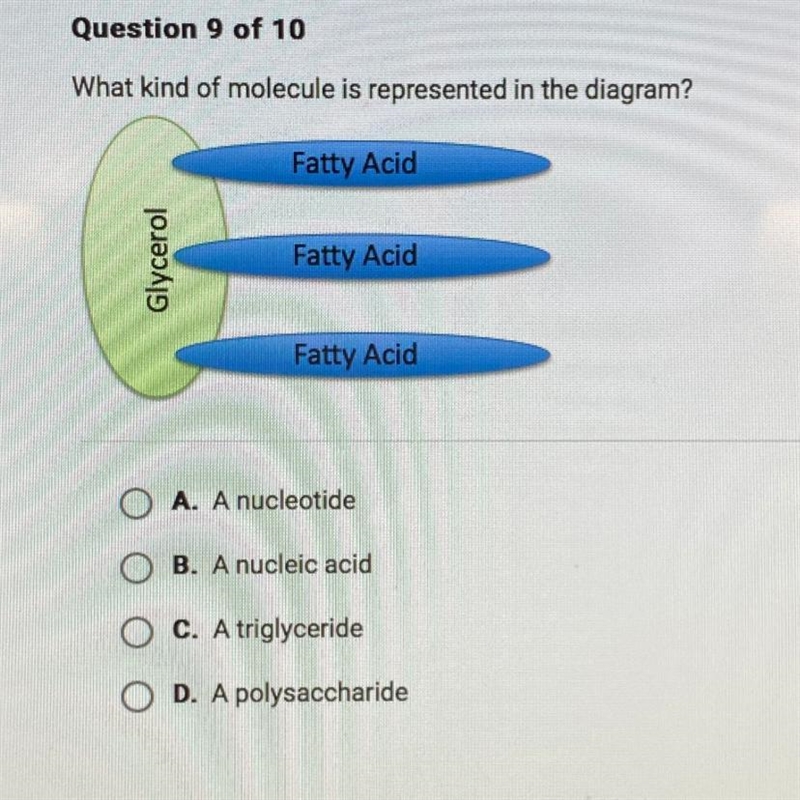 What kind of molecule is represented in the diagram? Fatty Acid Glycerol Fatty Acid-example-1