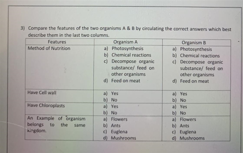 Please help its a final-example-1