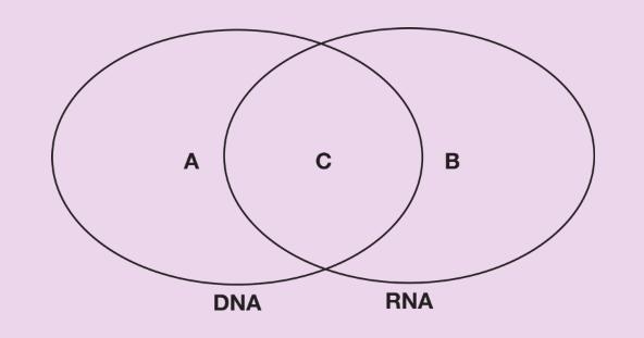 4) Complete the Venn diagram by identifying common or isolated characteristics (Note-example-1