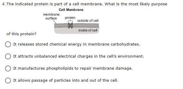 Please help please help-example-1