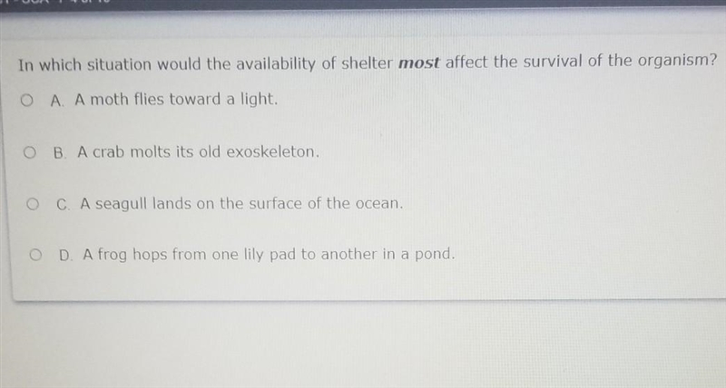 PLEASE HELP In which situation would the availability of shelter most affect the survival-example-1