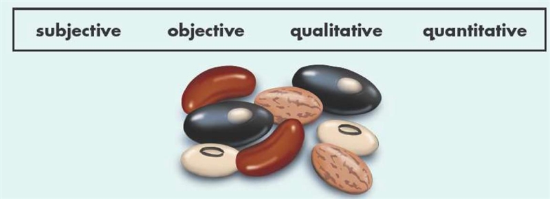 Describe the beans shown in the picture. Make both objective and subjective observations-example-1