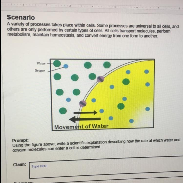 Please answer this biology question-example-1