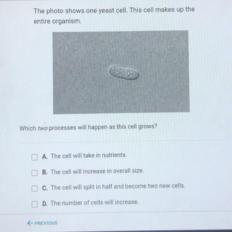 The photo shows one yeast cell. This cell makes up the entire organism Which two processes-example-1