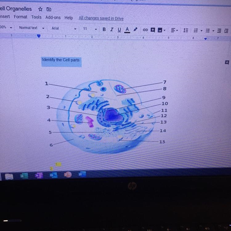 Identify the Cell parts-example-1