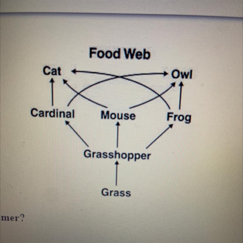 In this food web, which animal has the role of the tertiary (third) consumer? Owl-example-1