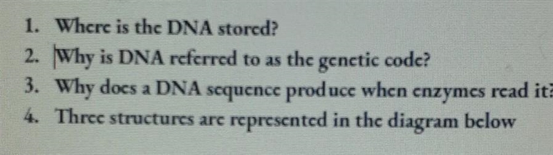 Please answer this biology question​-example-1