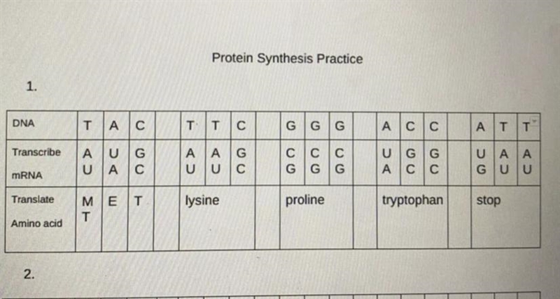 What is the mRNA ? how do you read this ?-example-1