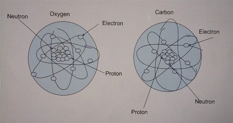 Can you please check my answer? I'm not sure that I did this right. I had to use google-example-1