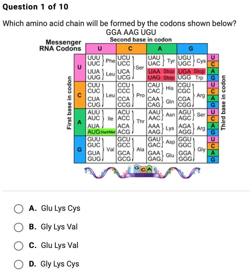 Which amino acid chain will be formed by the condons shown below?-example-1