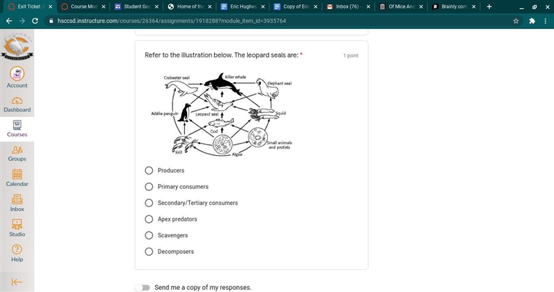 I need help with two questions!-example-1