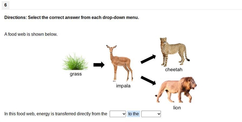 In this food web, energy is transferred directly from the __ to the __.-example-1