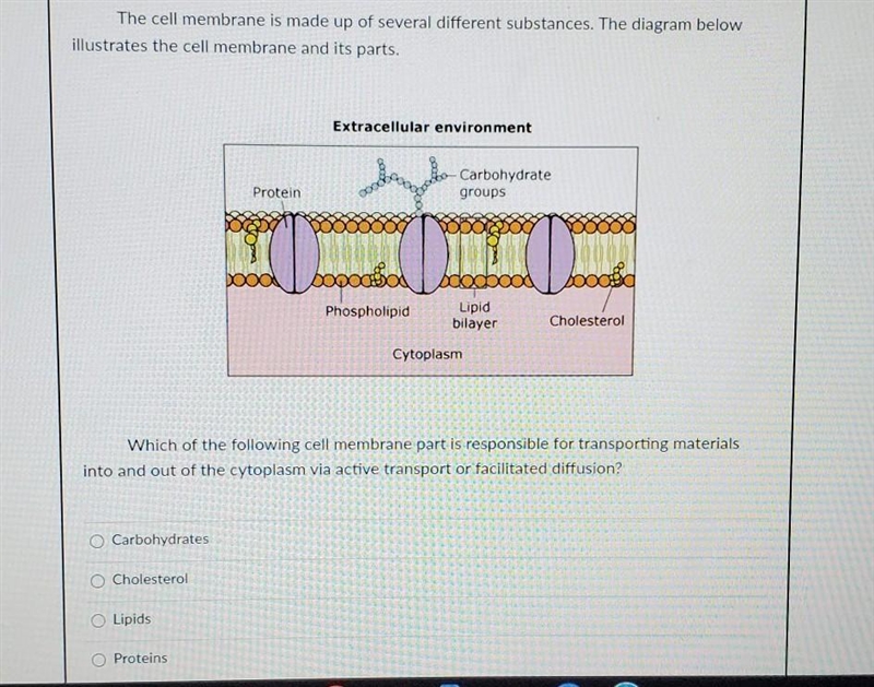 The cell membrane is made up of several different substances. The diagram below illustrates-example-1