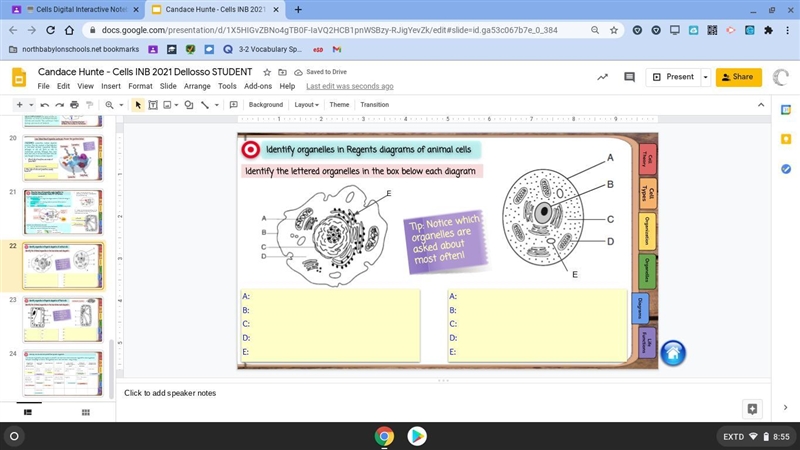 I need help asap... dont guess-example-1