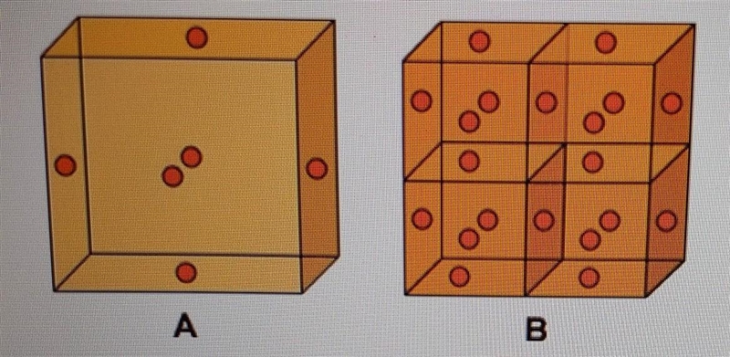 The following models show one large cell (A) and four small cells (B) Which of the-example-1