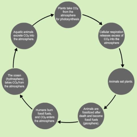 What are two strengths and two weaknesses of your model?-example-1